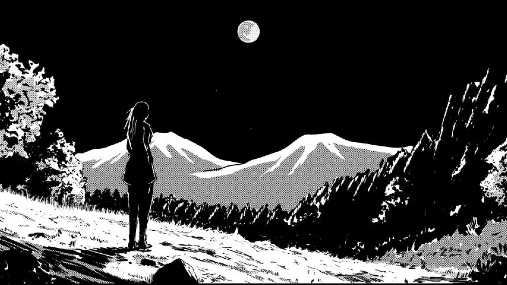 41